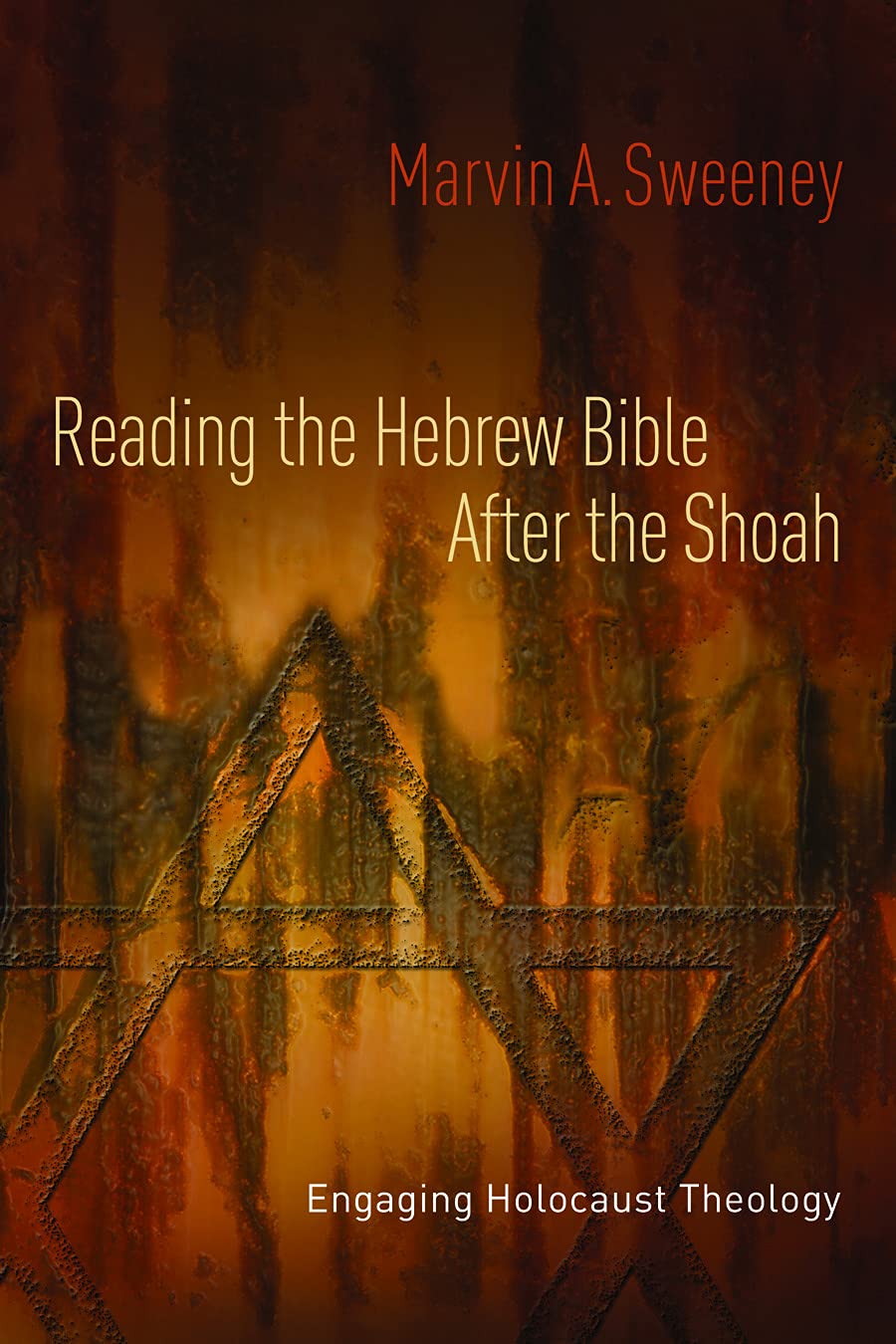 Reading the Hebrew Bible after the Shoah: Engaging Holocaust Theology,Used