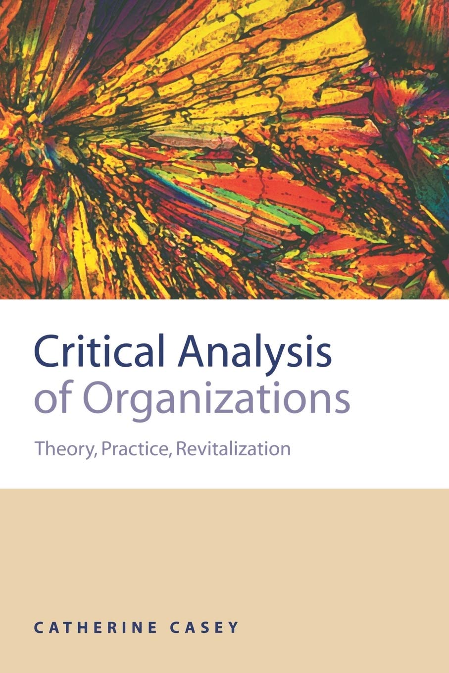 Critical Analysis of Organizations: Theory, Practice, Revitalization,New