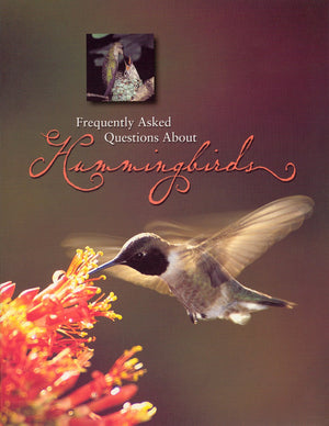 Frequently asked Questions About Hummingbirds,Used