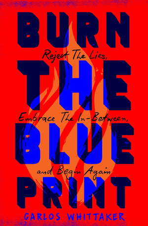 Burn The Blueprint: Reject The Lies, Embrace The InBetween, And Begin Again