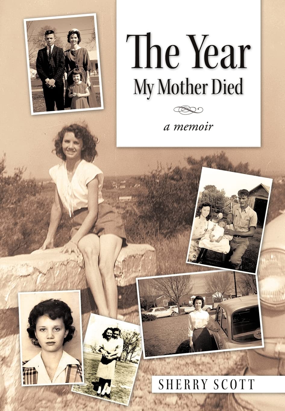 The Year My Mother Died: A Memoir,Used