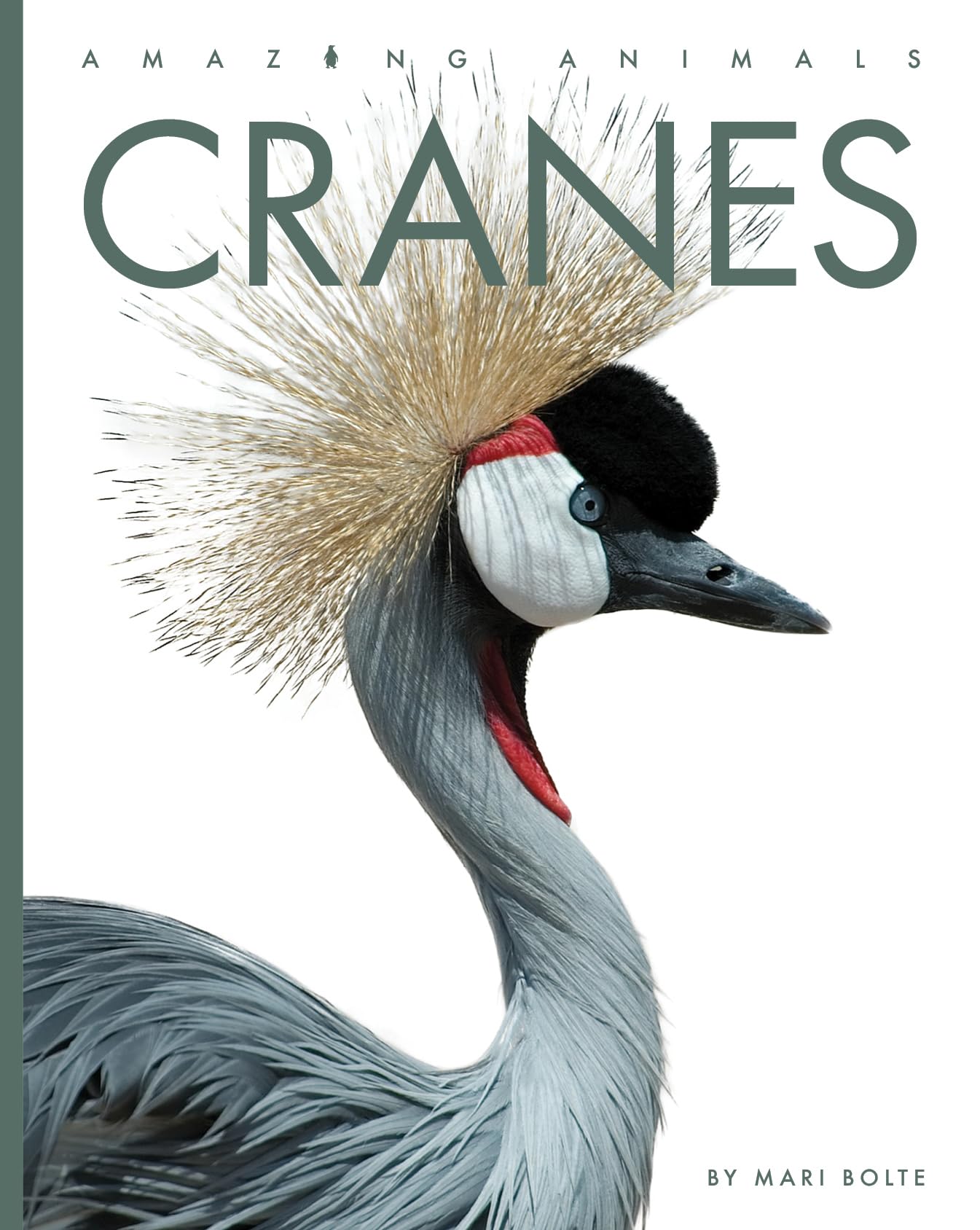 CRANES