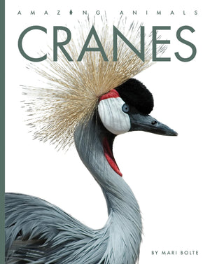 CRANES