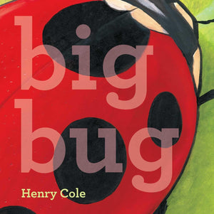 Big Bug,Used