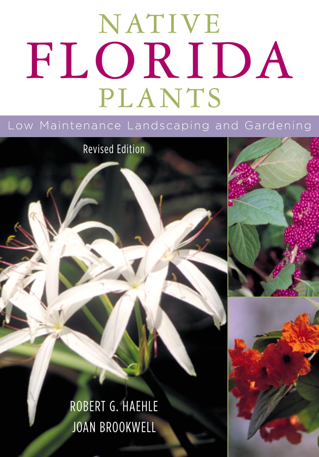 Native Florida Plants: Low Maintenance Landscaping And Gardening,Used