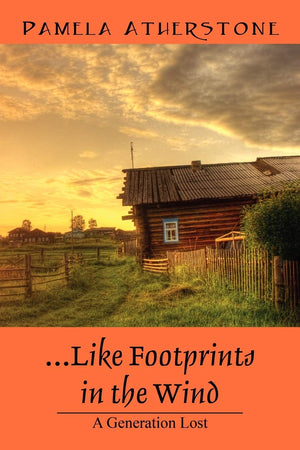 Like Footprints in the Wind: A Generation Lost,Used