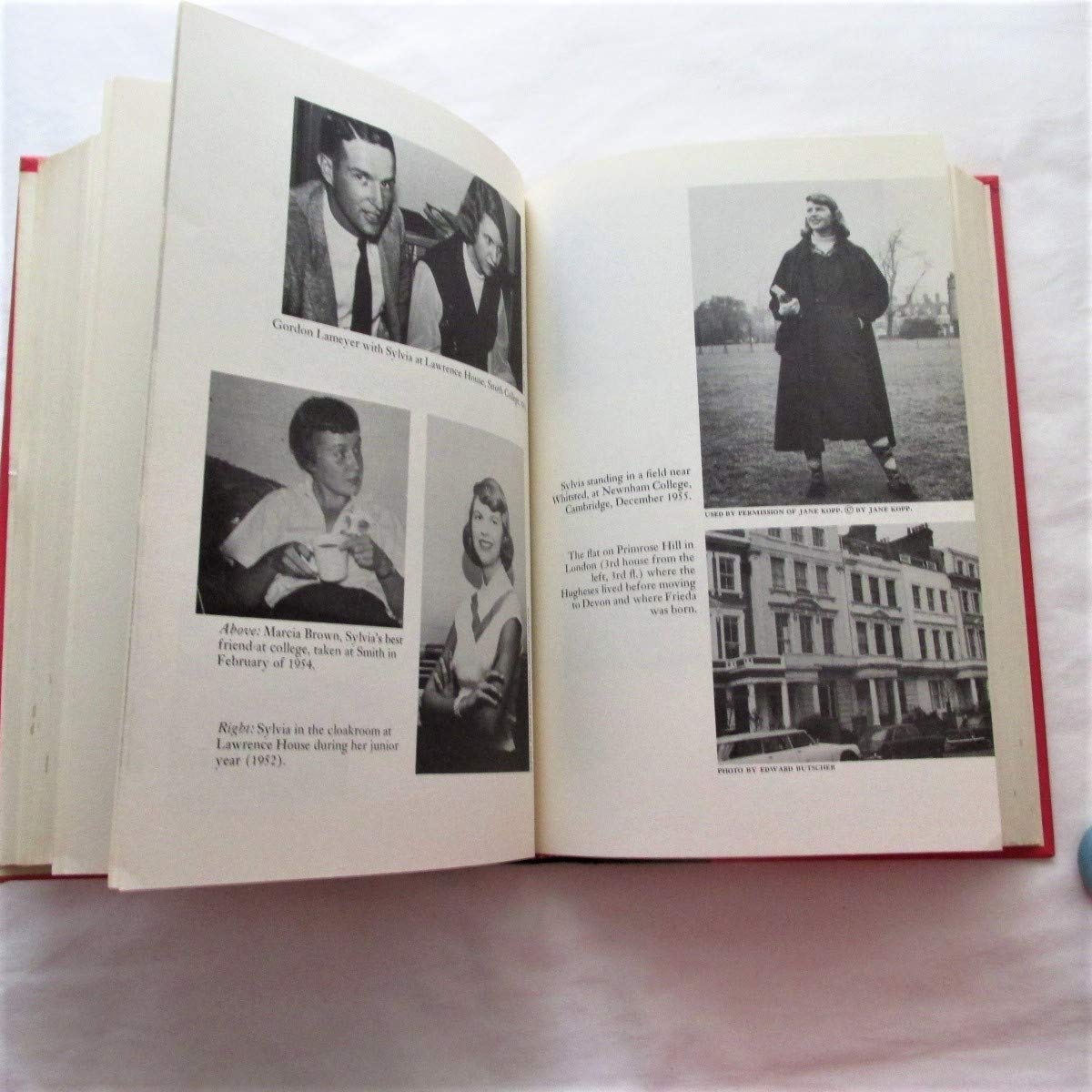 Sylvia Plath: Method and Madness (A Continuum book),Used