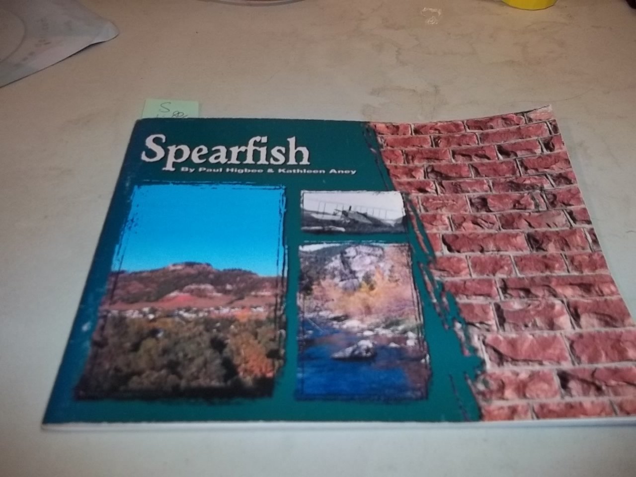 One Spirit, Many Peoples: A Manifesto for Earth Spirituality,Used