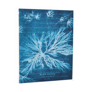 Sea Flowers Ultra Lined Softcover Journal, 176Pg, 100Gsm, Treasures Of The New York Public Library By Paperblanks (Anna Atkins