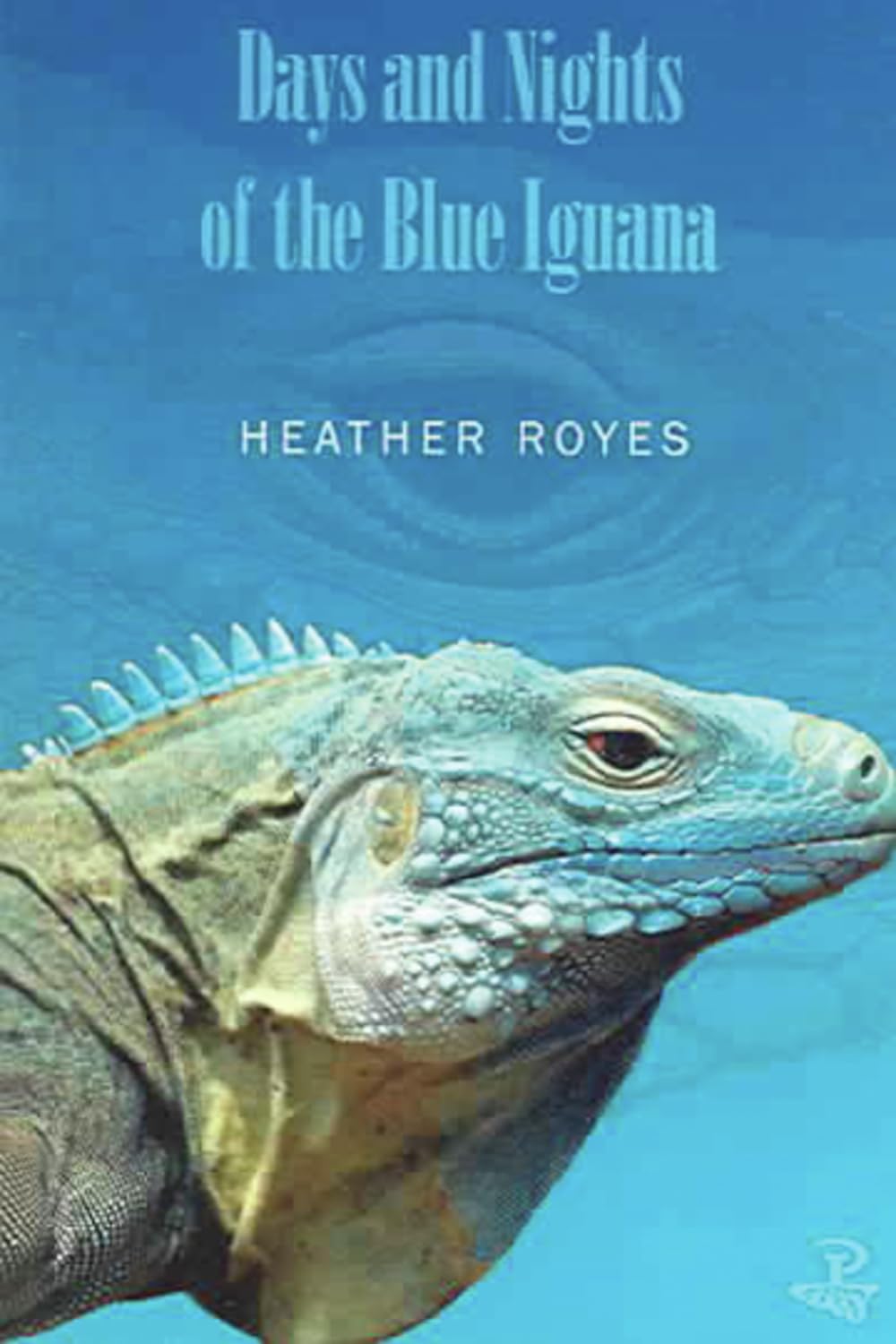 Days and Nights of the Blue Iguana,Used
