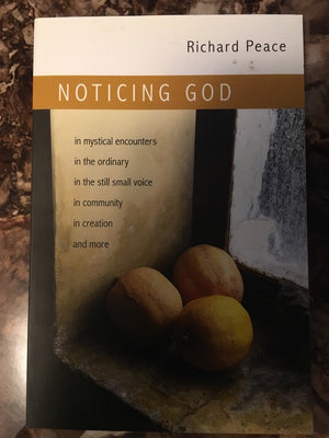 Noticing God,New