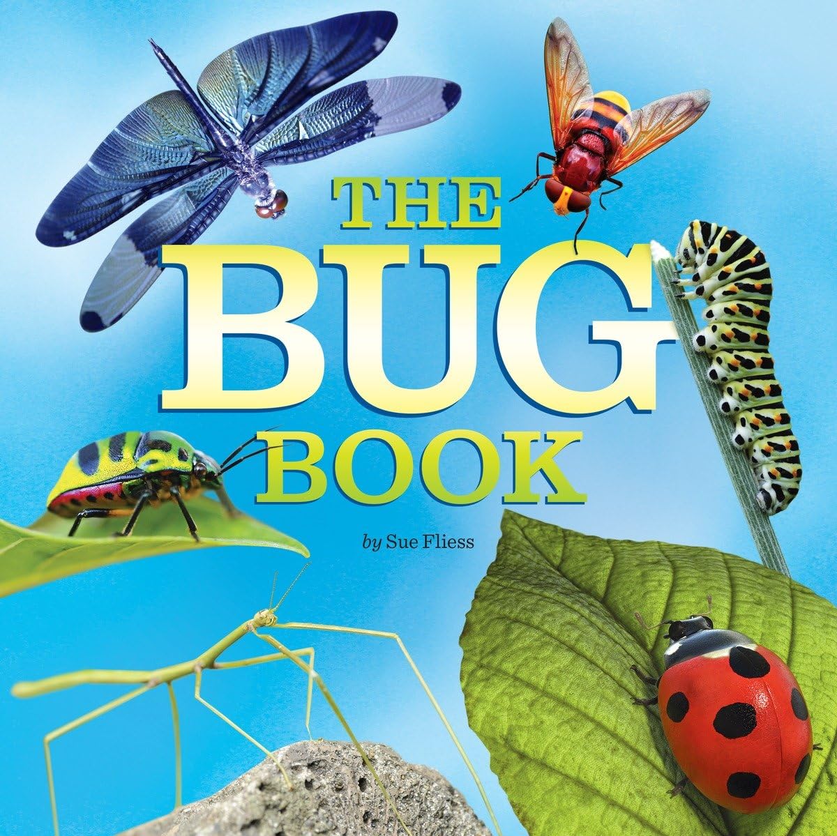 The Bug Book-used