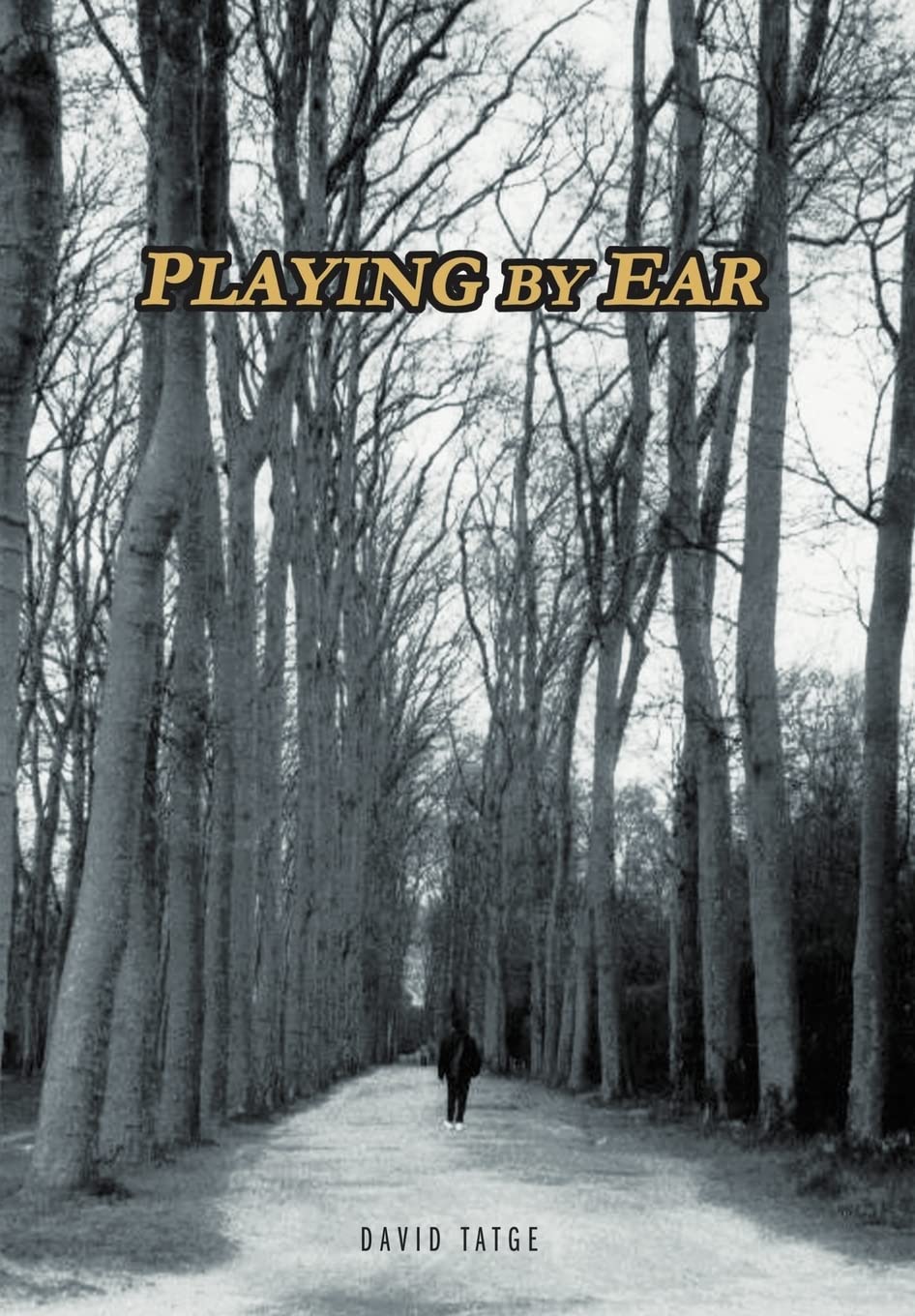 Playing by Ear,Used