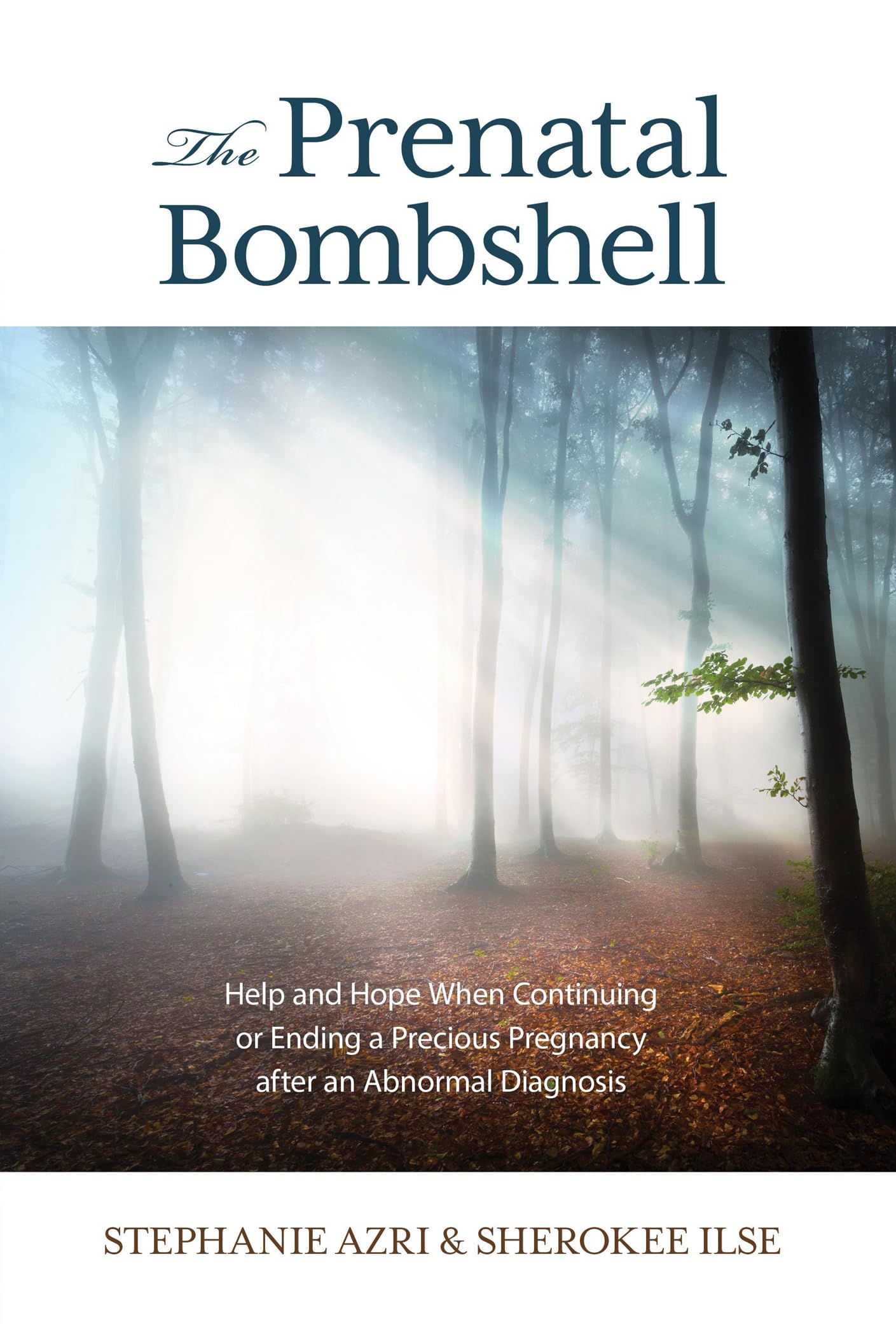 The Prenatal Bombshell: Help and Hope When Continuing or Ending a Precious Pregnancy After an Abnormal Diagnosis,Used