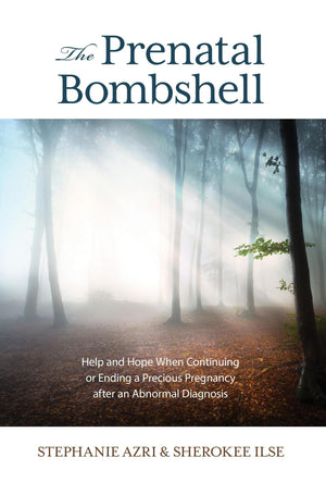 The Prenatal Bombshell: Help and Hope When Continuing or Ending a Precious Pregnancy After an Abnormal Diagnosis,Used