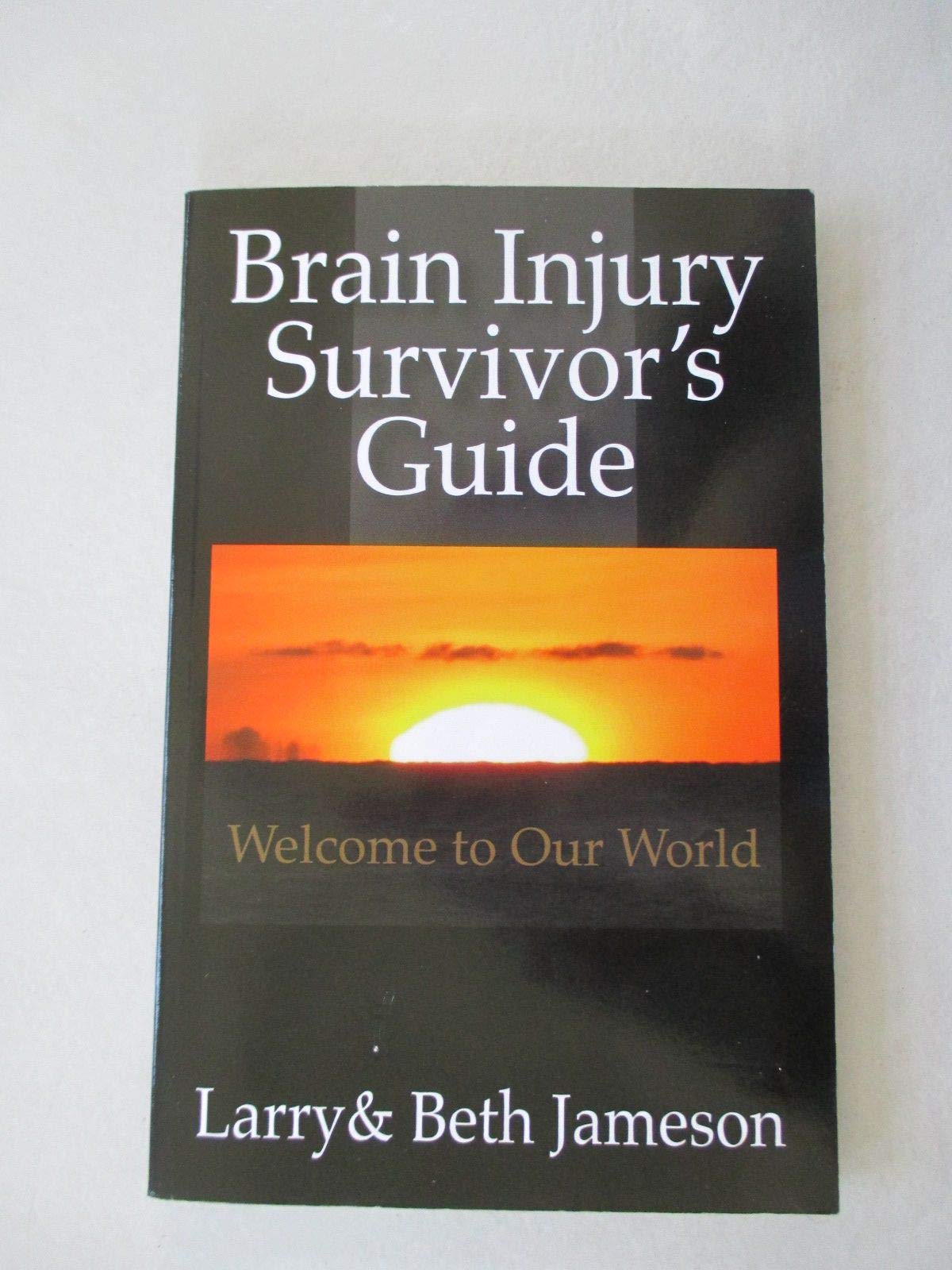 Brain Injury Survivor's Guide: Welcome to Our World,Used