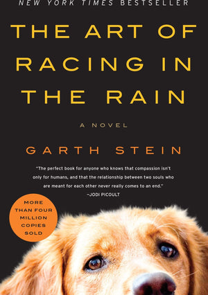 The Art of Racing in the Rain: A Novel