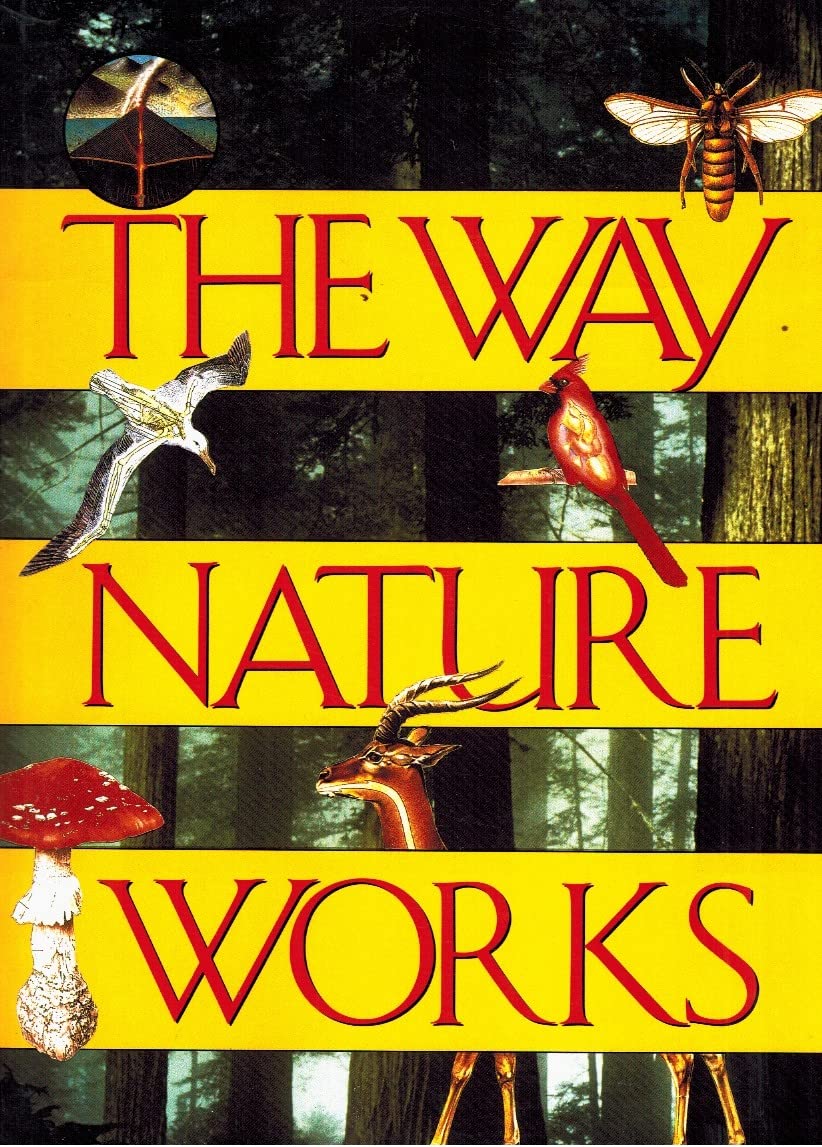 The Way Nature Works,New