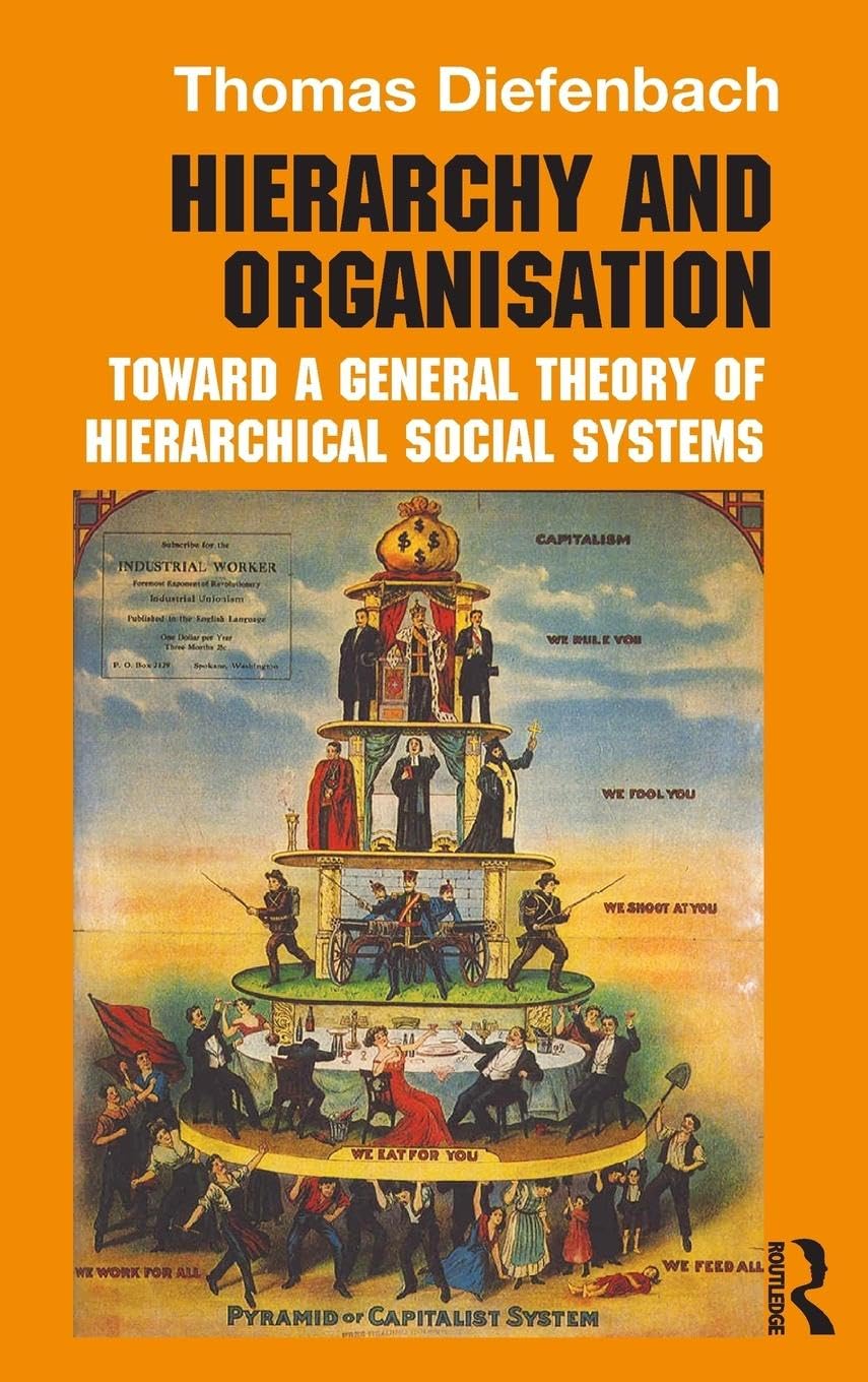 Hierarchy and Organisation: Toward a General Theory of Hierarchical Social Systems (Routledge Studies in Management, Organizatio,Used