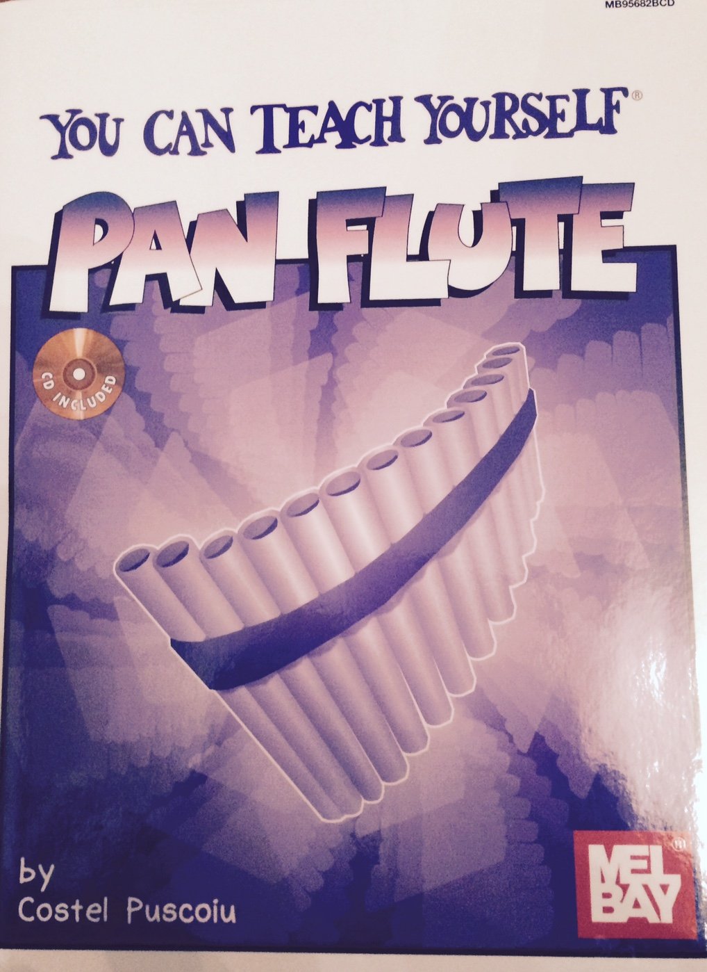 You Can Teach Yourself Pan Flute,Used