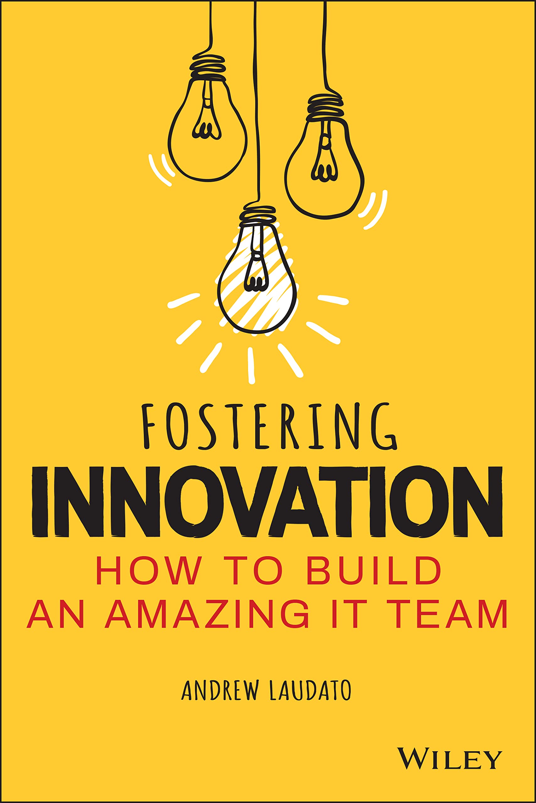 Fostering Innovation: How to Build an Amazing IT Team,Used