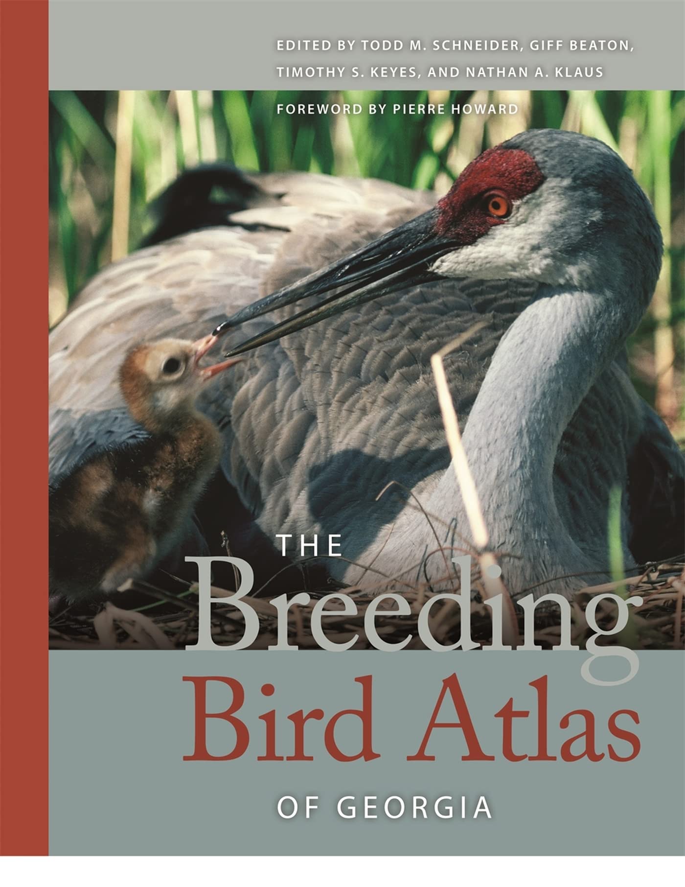 The Breeding Bird Atlas Of Georgia,Used