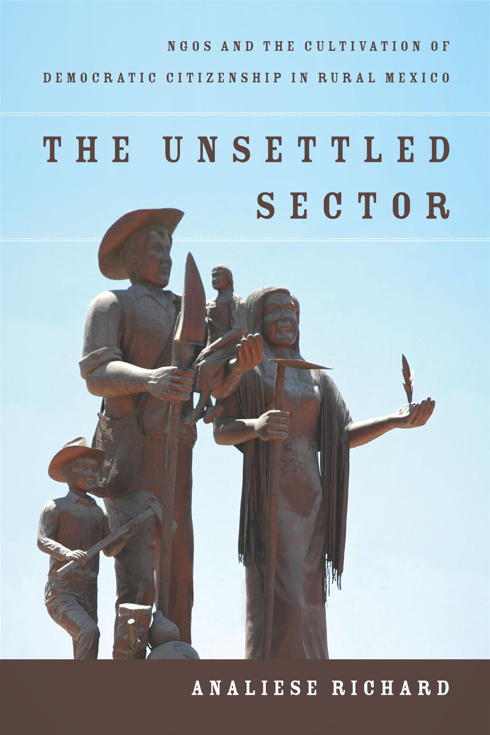 The Unsettled Sector: Ngos And The Cultivation Of Democratic Citizenship In Rural Mexico,Used