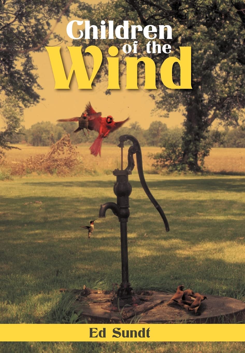 Children Of The Wind,Used