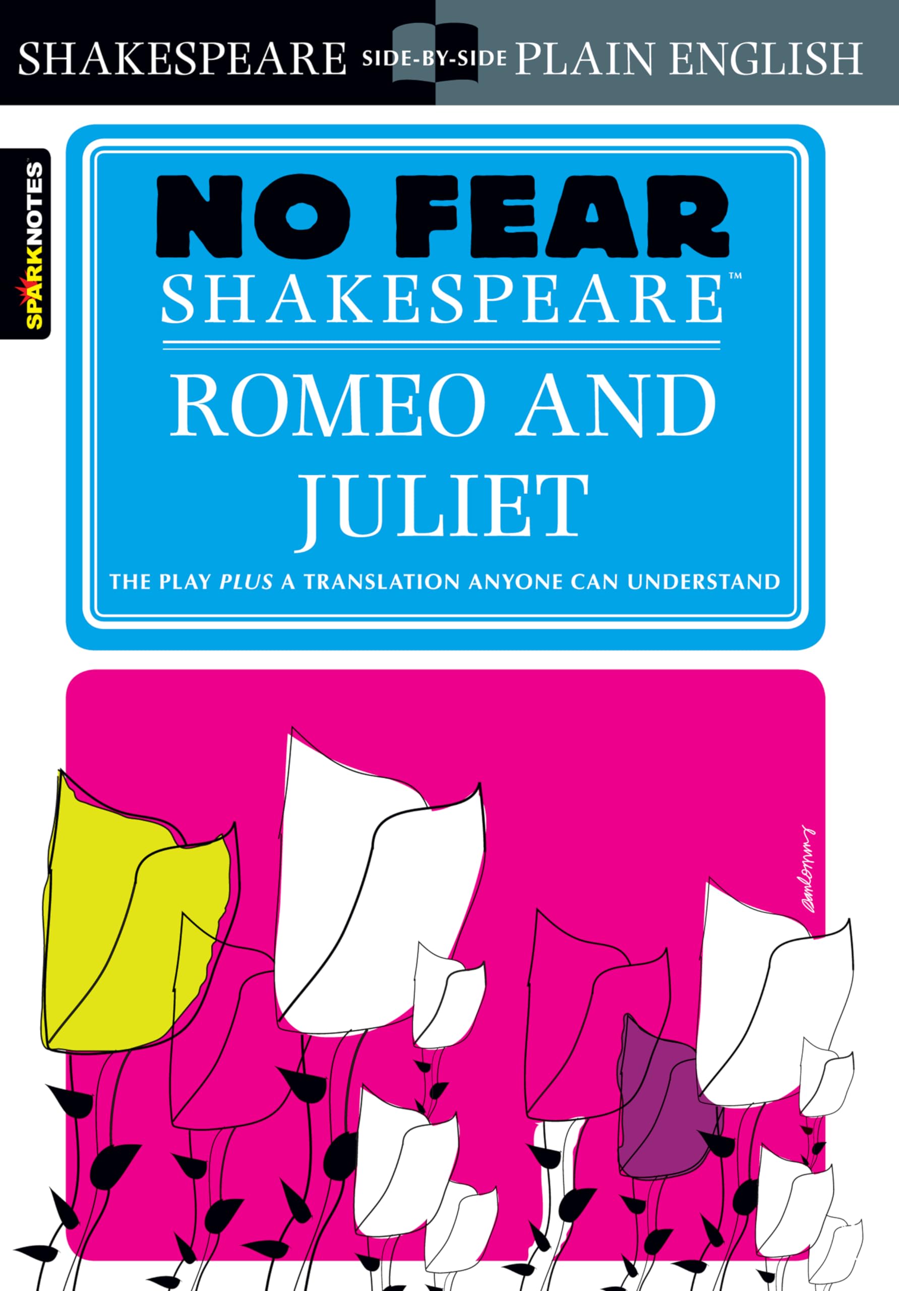 Romeo and Juliet: No Fear Shakespeare SideBySide Plain English,Used