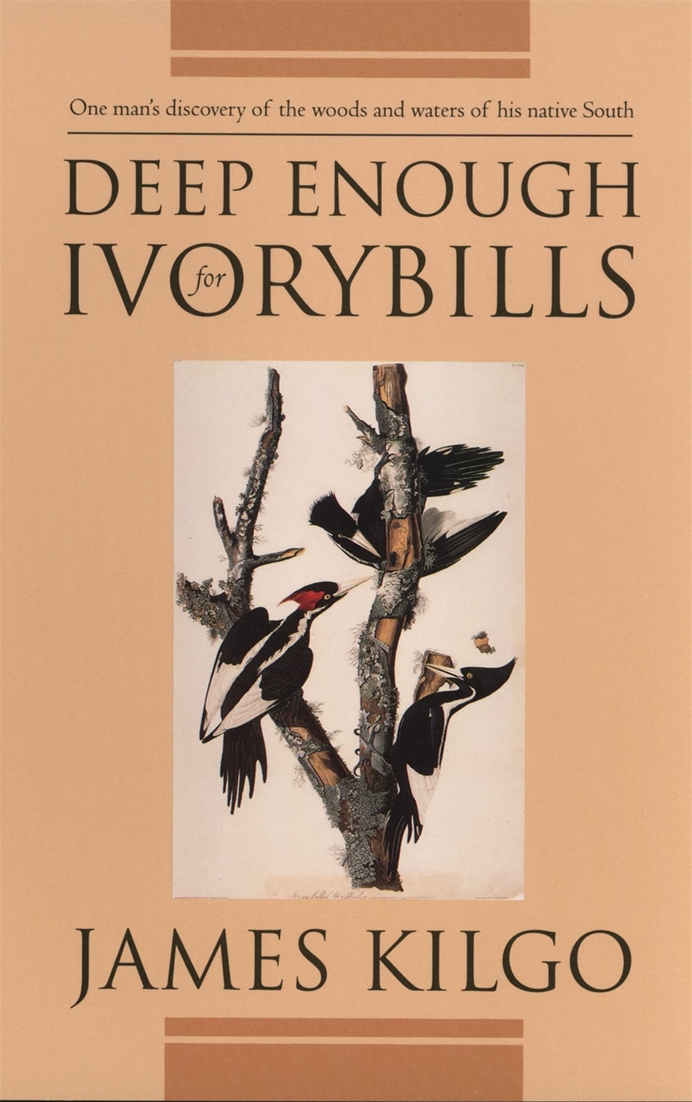 Deep Enough for Ivorybills (Brown Thrasher Books),Used