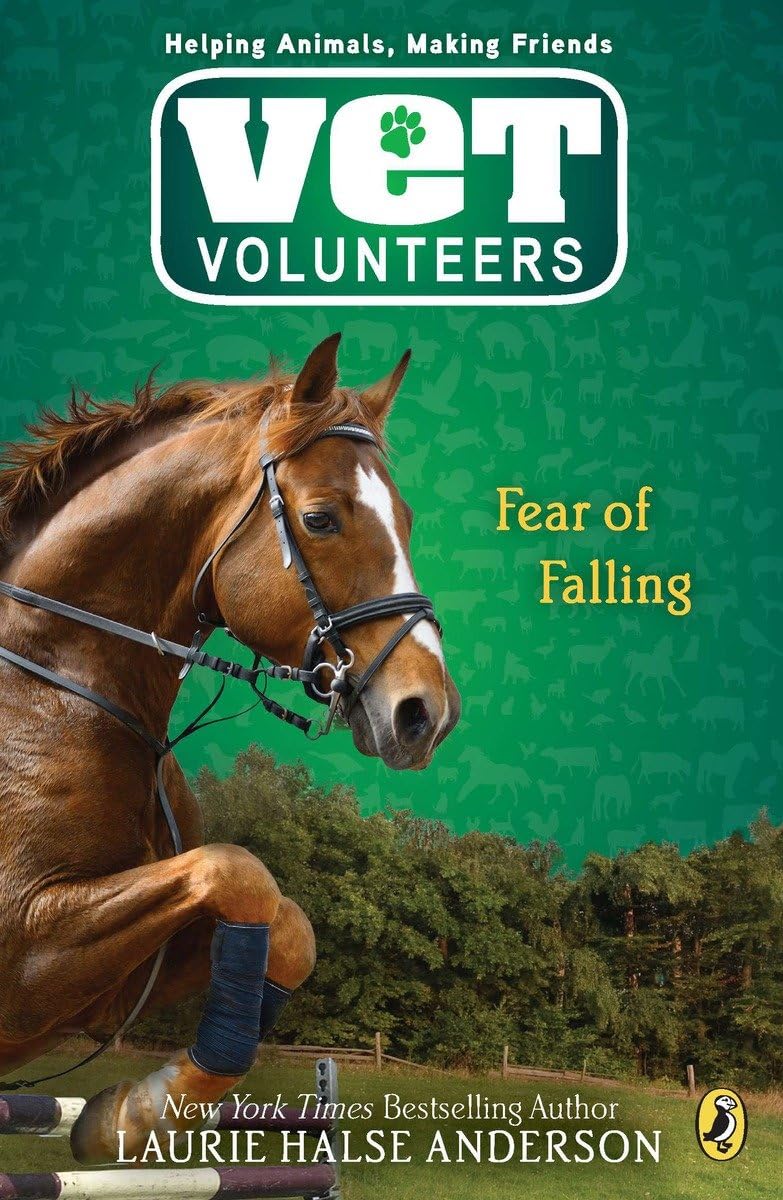 Fear of Falling (Vet Volunteers),Used