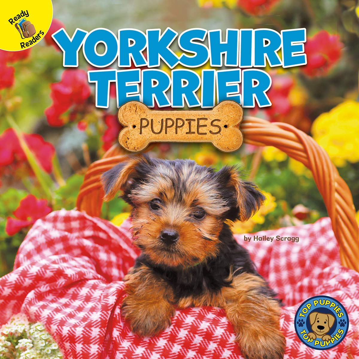 Top Puppies: Yorkshire Terrier Puppies  Rourke NonFiction Reader, Grades PK2,Used