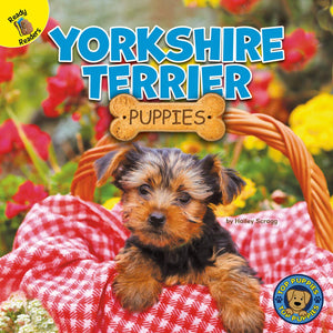 Top Puppies: Yorkshire Terrier Puppies  Rourke NonFiction Reader, Grades PK2,Used
