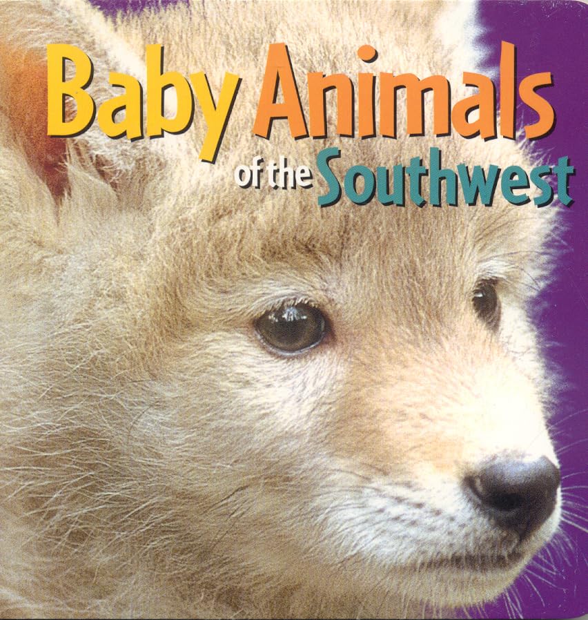 Baby Animals Of The Southwest,Used