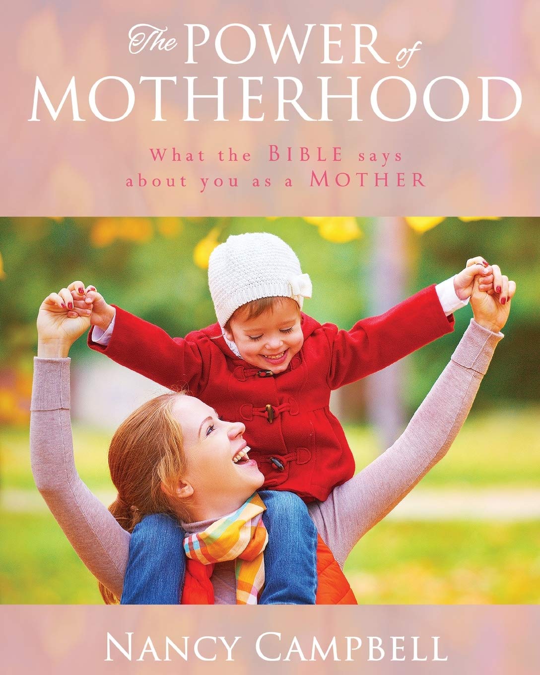 The Power of Motherhood: What the Bible says about Mothers,Used