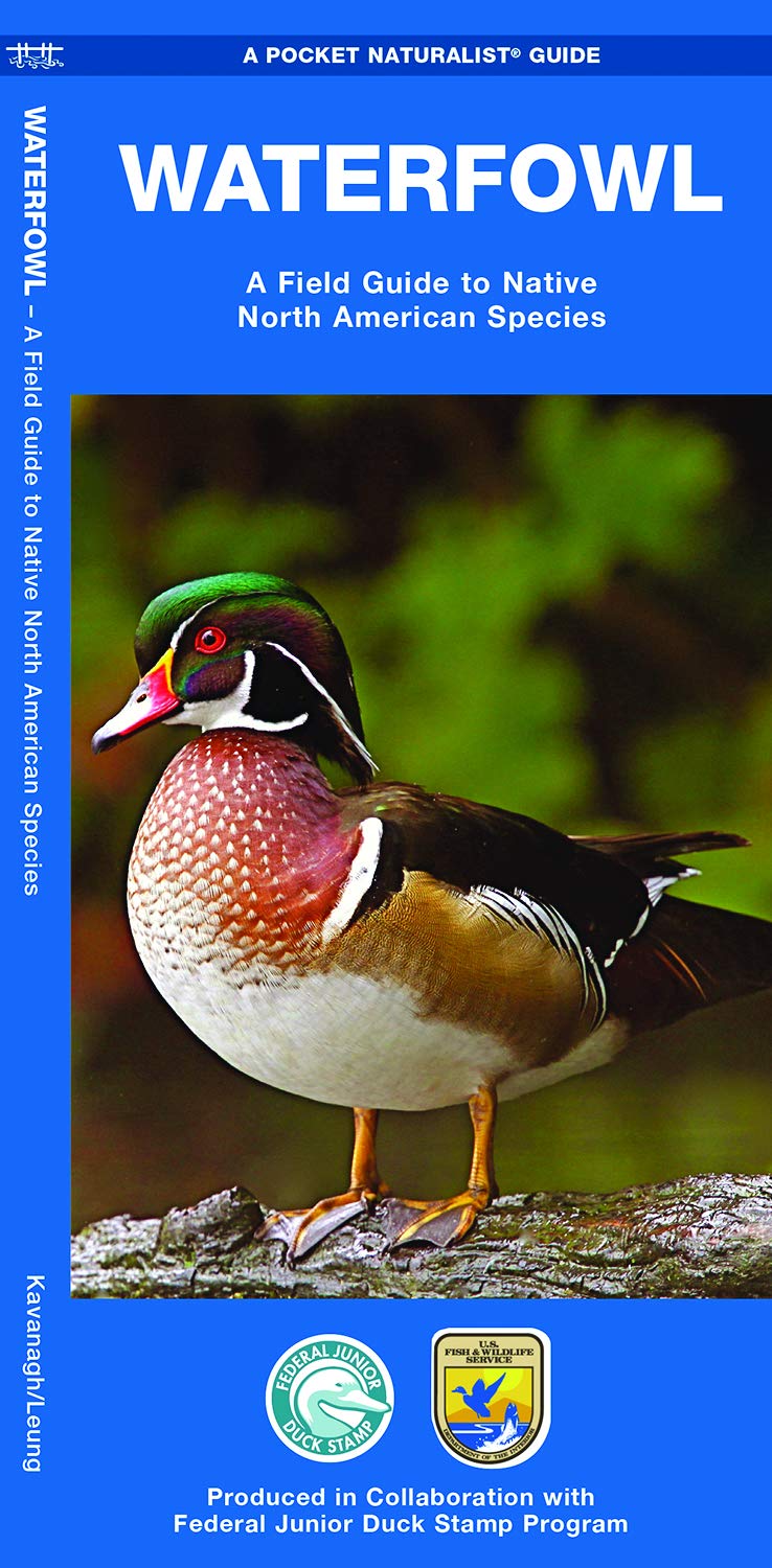 Waterfowl: A Field Guide To Native North American Species (Wildlife And Nature Identification),Used