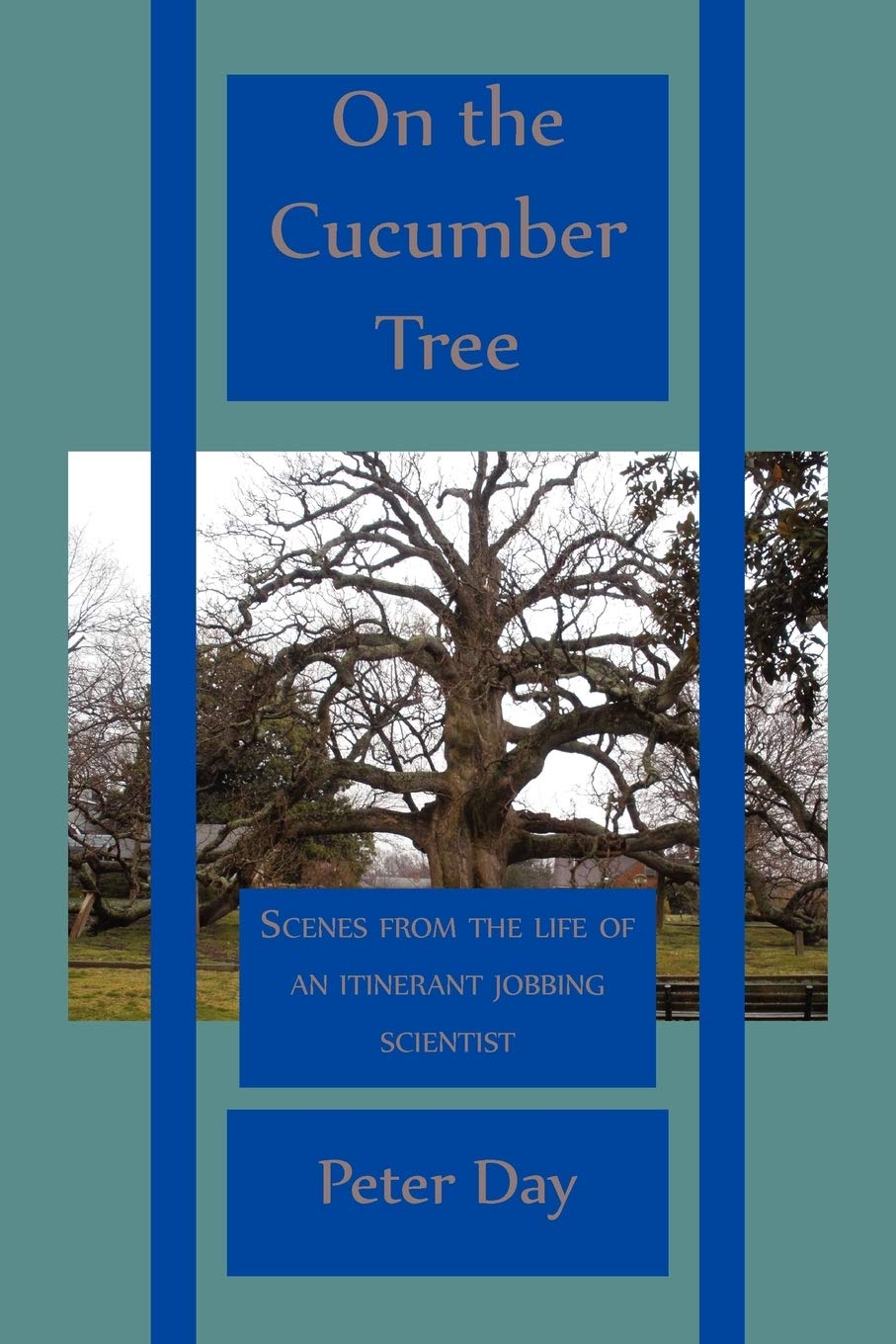 On The Cucumber Tree,Used