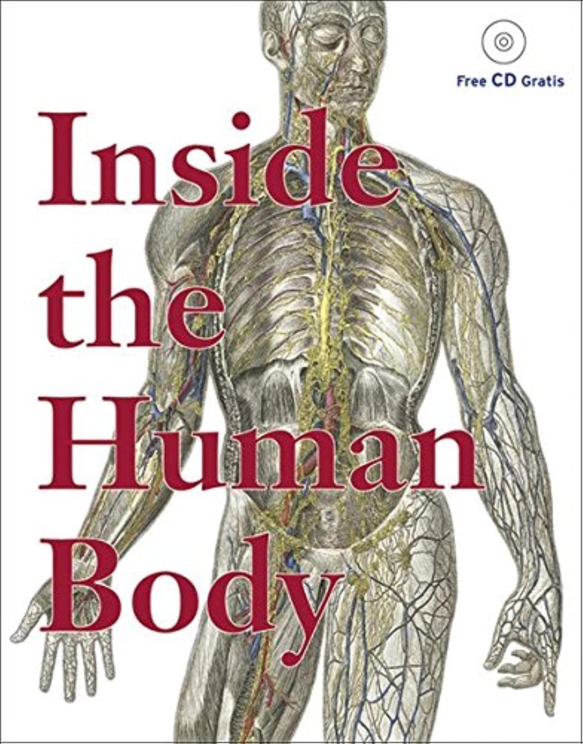 Inside the Human Body