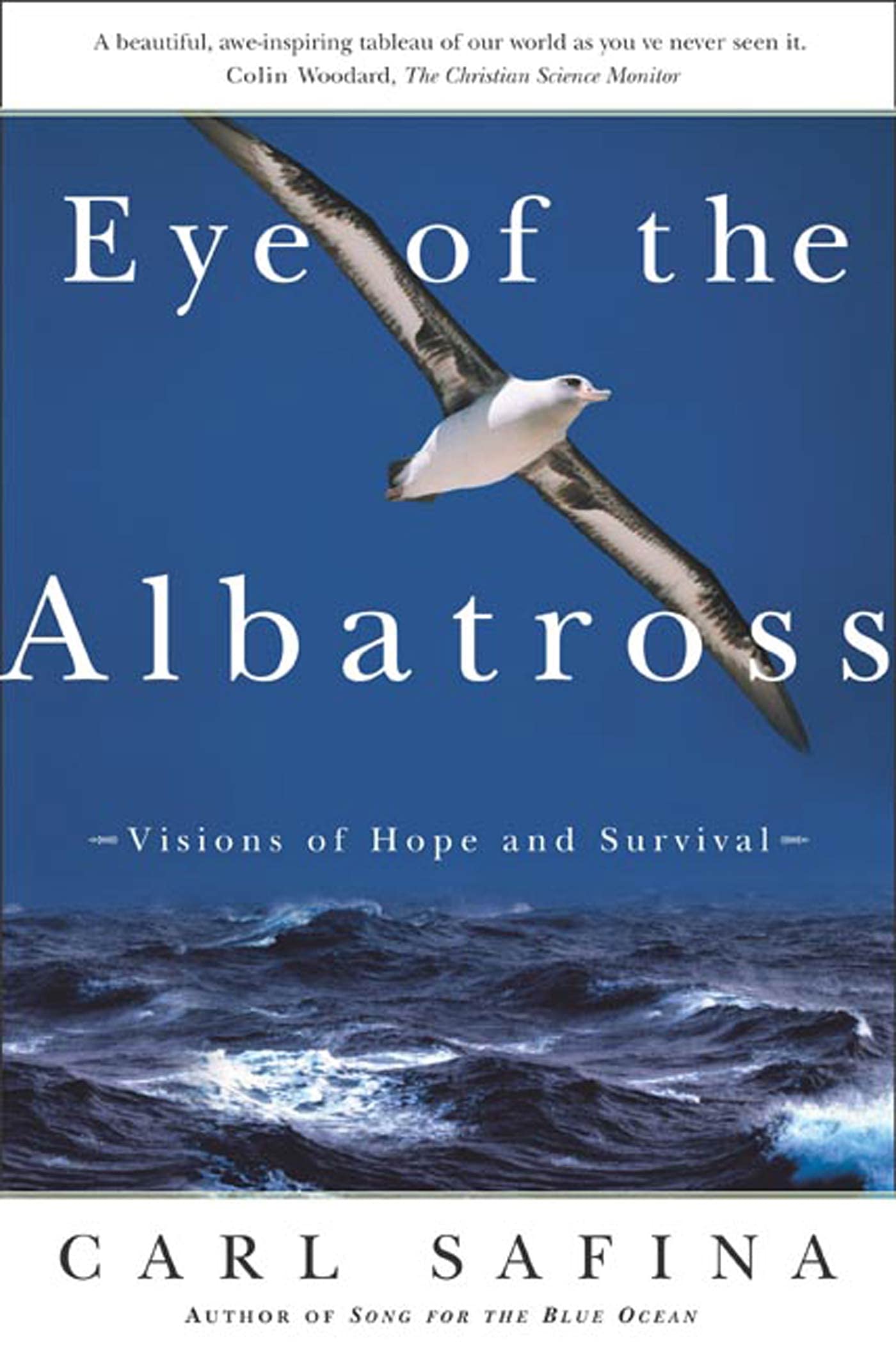 Eye Of The Albatross: Visions Of Hope And Survival