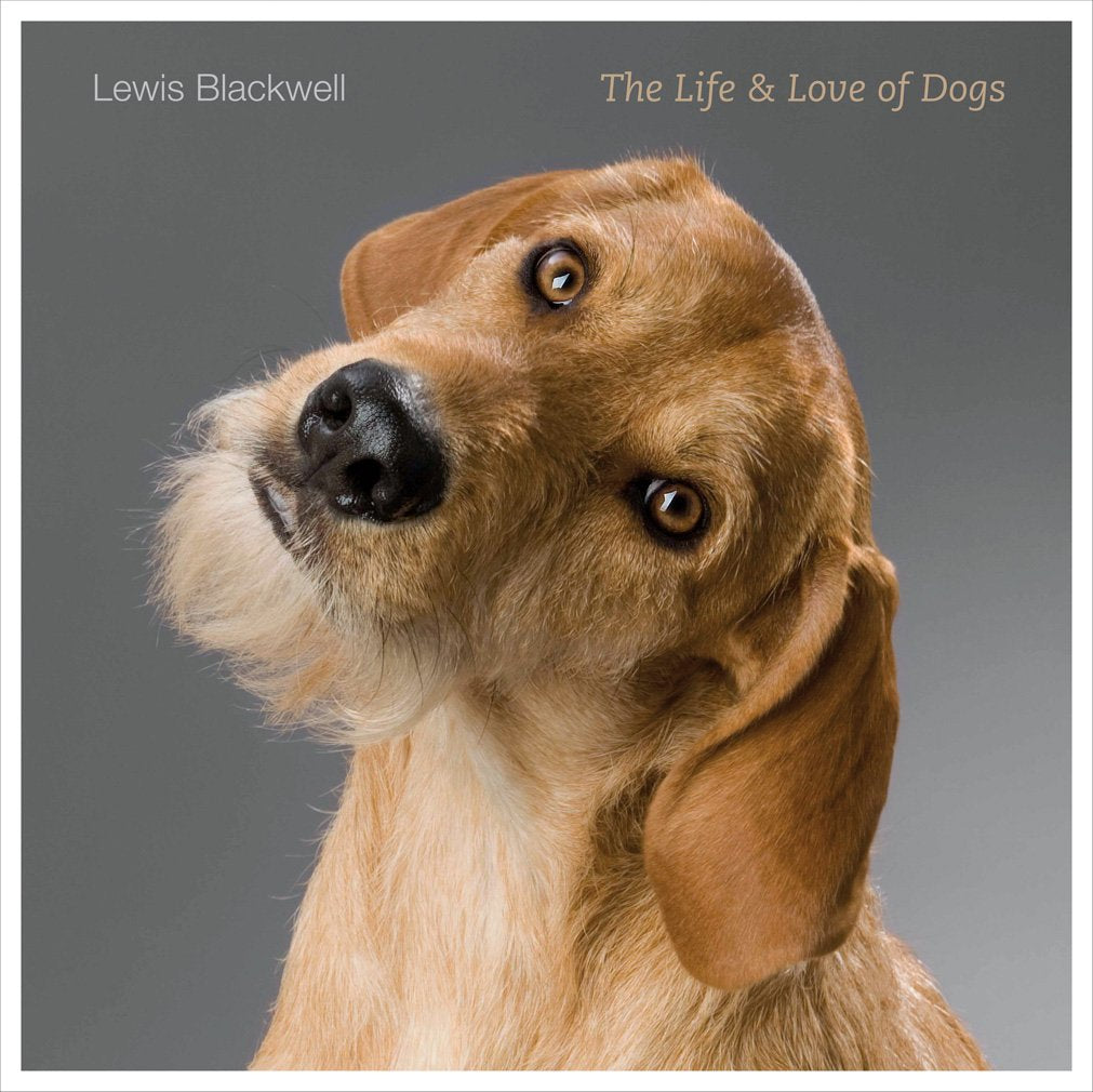 The Life & Love of Dogs,New