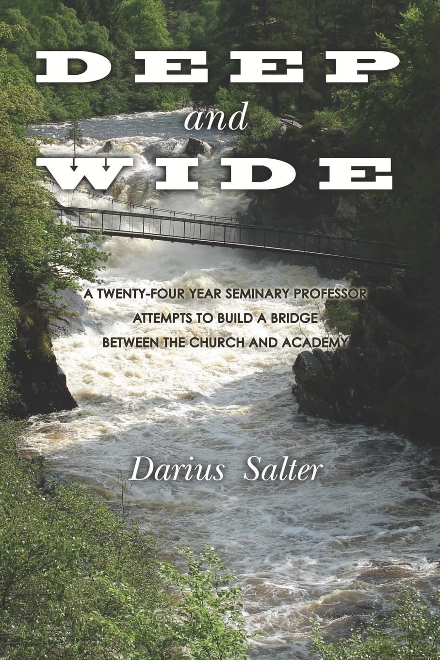 Deep And Wide: A Twentyfour Year Seminary Professor Attempts To Build A Bridge Between The Church And The Academy,Used