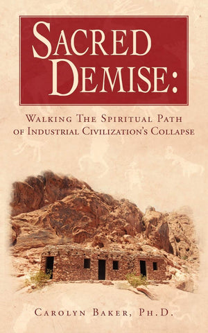 Sacred Demise: Walking the Spiritual Path of Industrial Civilization's Collapse,Used
