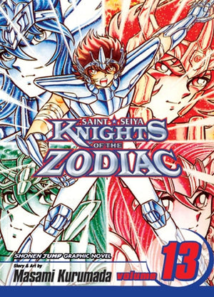 Knights of the Zodiac (Saint Seiya), Vol. 13 (13),Used