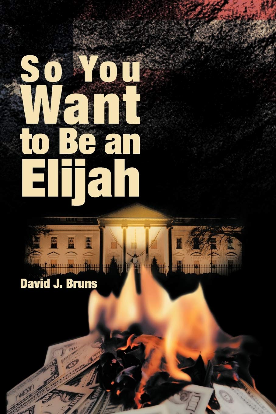So You Want to Be an Elijah,Used