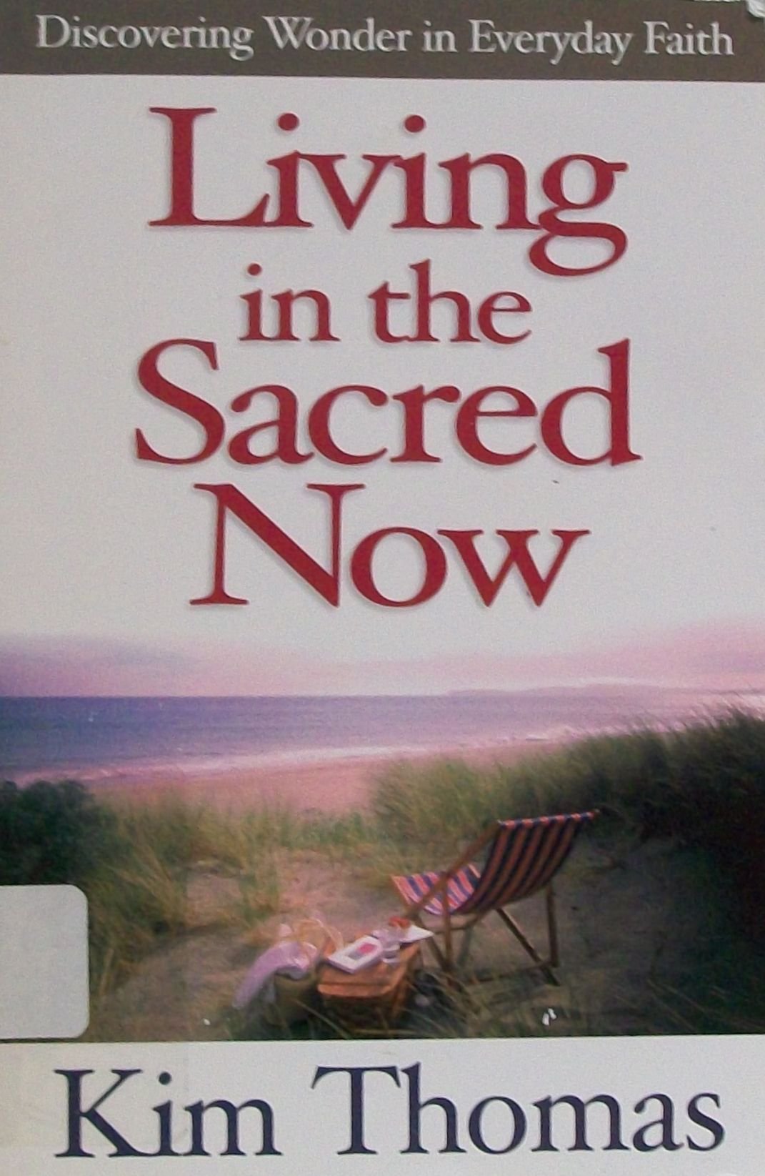 Living In The Sacred Now: Discovering Wonder In Everyday Faith,New
