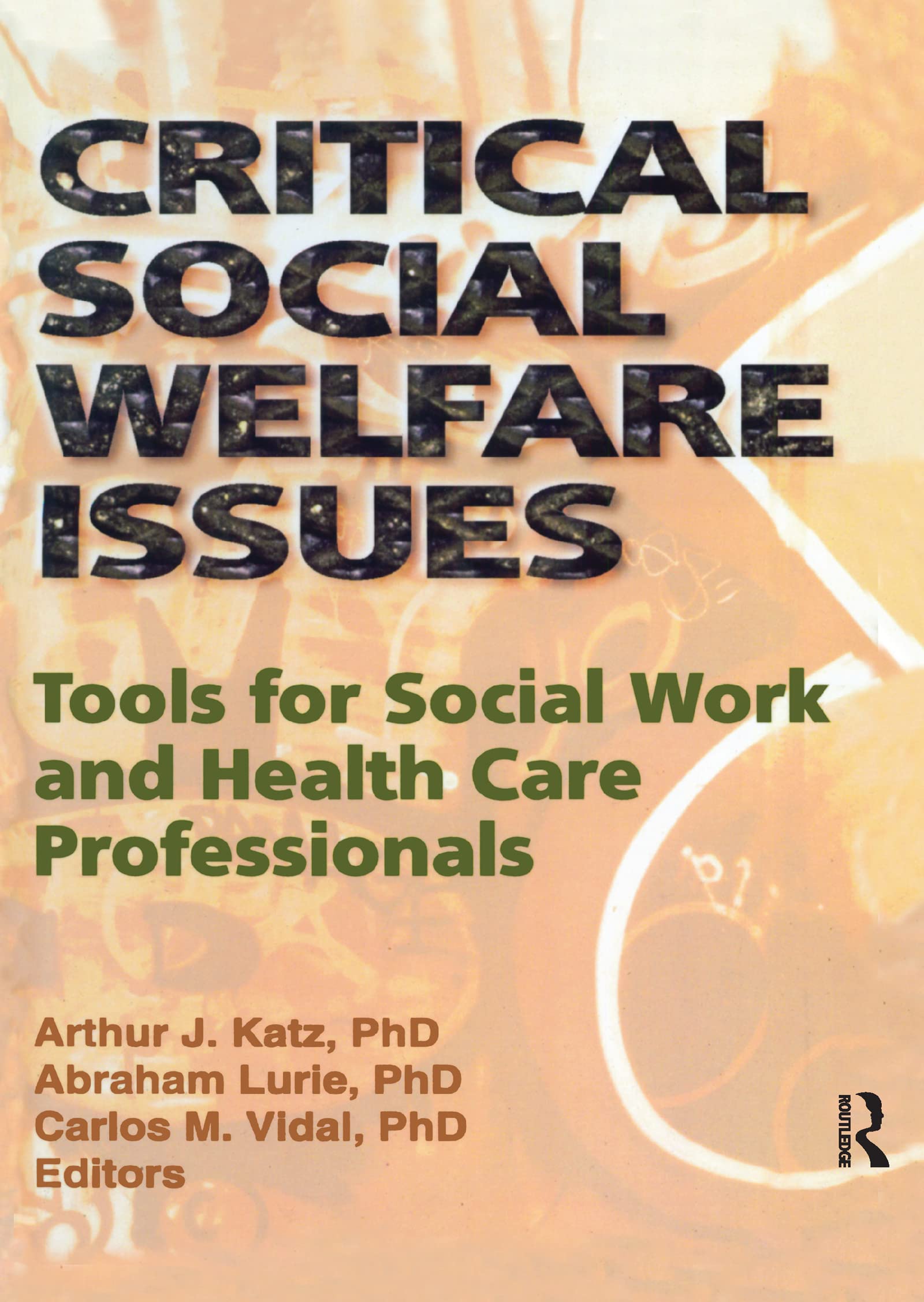 Critical Social Welfare Issues: Tools for Social Work and Health Care Professionals (Haworth Social Work Practice),Used