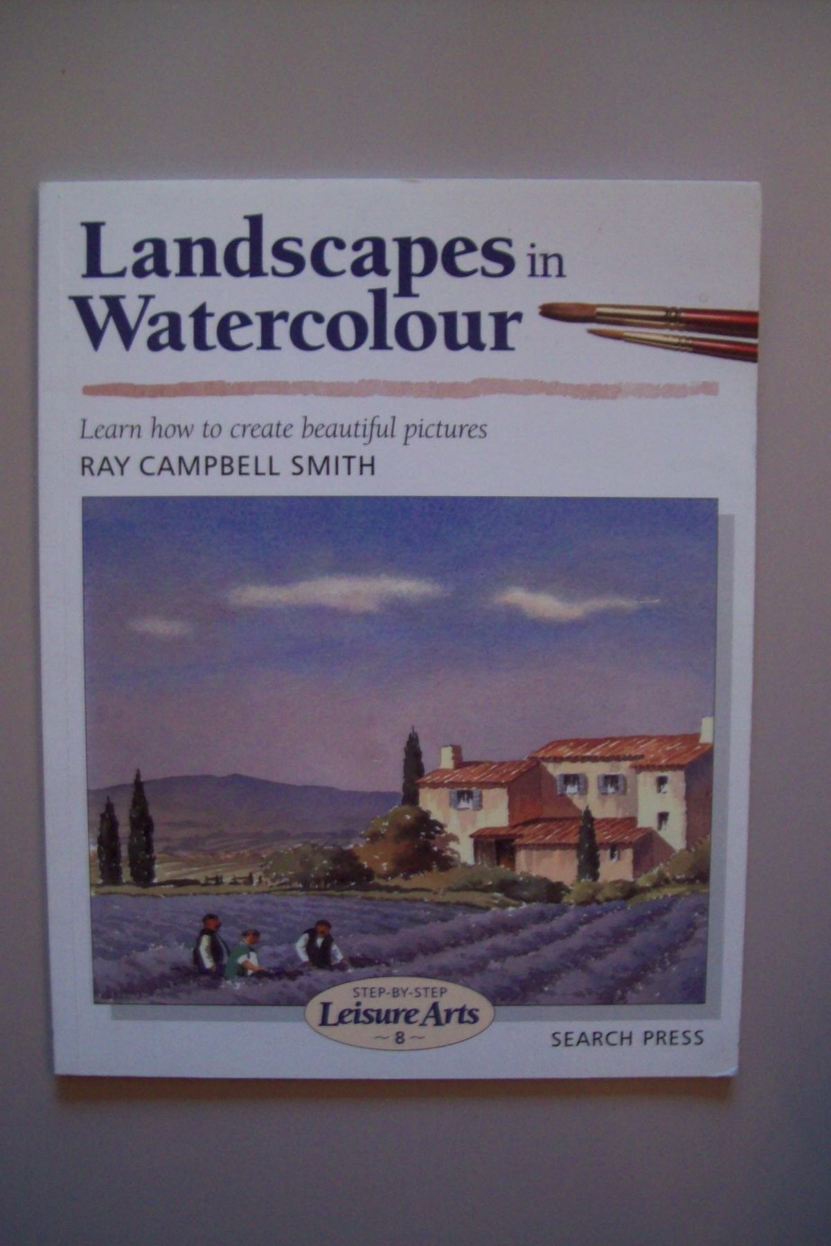 Landscapes in Watercolour (StepbyStep Leisure Arts),Used
