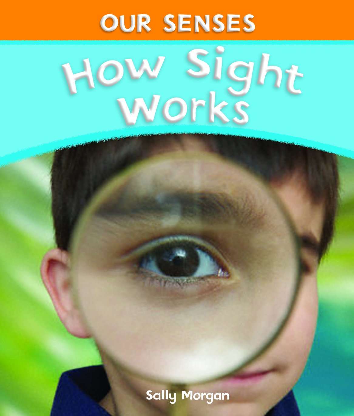 How Sight Works (Our Senses),New