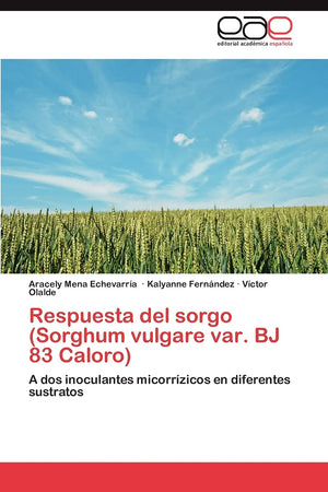 Respuesta del sorgo (Sorghum vulgare var. BJ 83 Caloro): A dos inoculantes micorrzicos en diferentes sustratos (Spanish Editio,Used