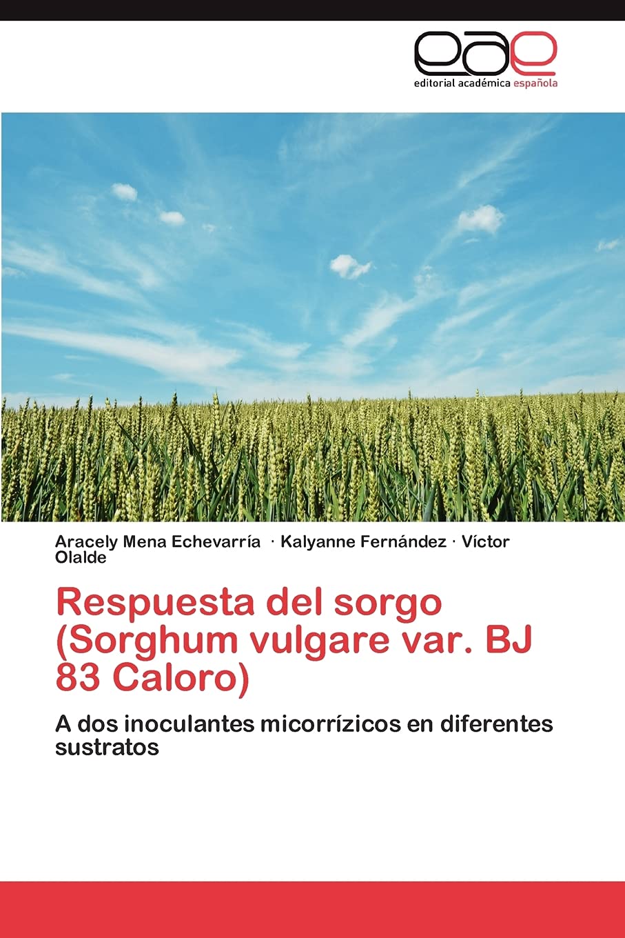 Respuesta del sorgo (Sorghum vulgare var. BJ 83 Caloro): A dos inoculantes micorrzicos en diferentes sustratos (Spanish Editio,Used